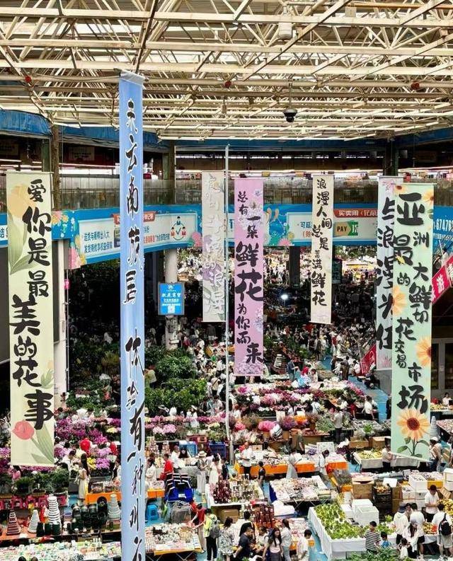 七夕不送玫瑰改送花菜<strong></p>
<p>今日币价</strong>！这一届年轻人“反套路”重新定义浪漫