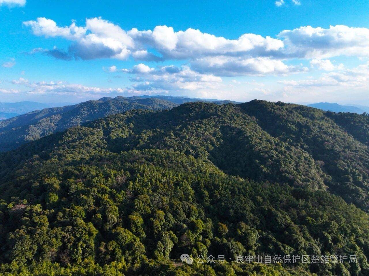 云南哀牢山新规出台：禁止任何单位和个人擅入哀牢山自然保护区<strong></p>
<p>莱姆币</strong>，从事科研活动须报批