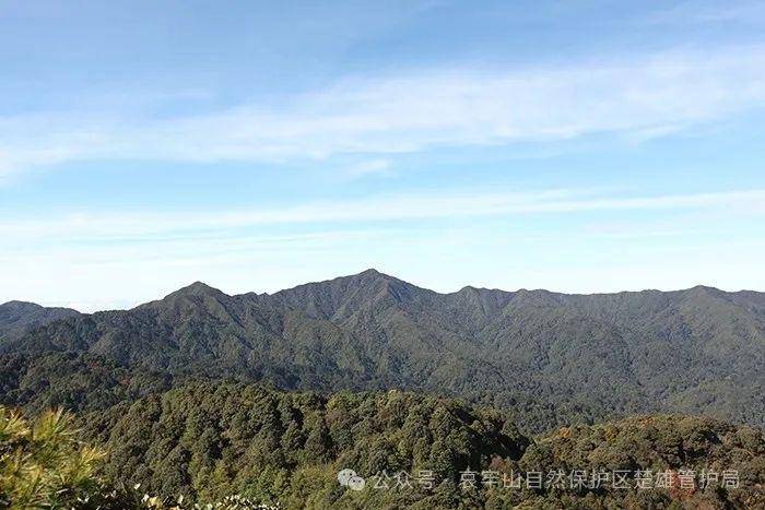 云南哀牢山新规出台：禁止任何单位和个人擅入哀牢山自然保护区<strong></p>
<p>莱姆币</strong>，从事科研活动须报批