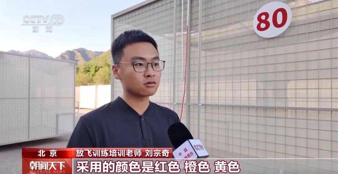 明天将放飞8万羽和平鸽、8万只气球<strong></p>
<p>莱姆币</strong>，揭秘！