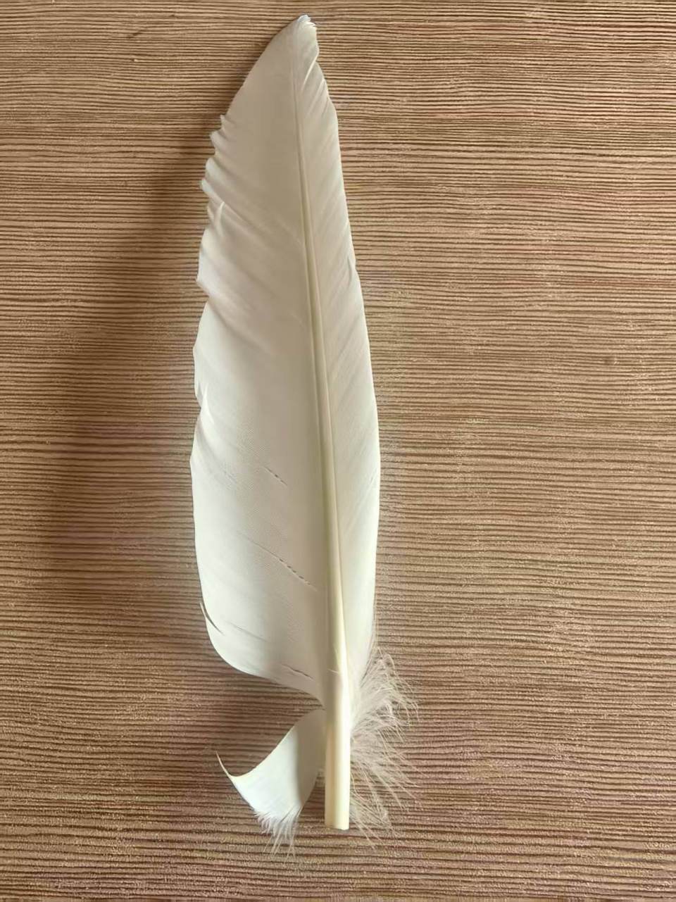 羽毛球又又又涨价<strong></p>
<p>莱姆币</strong>，球友破防：月花三千扛不住，打球人的天塌了