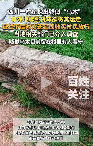 四川一村庄疑挖出珍贵乌木，有人想运走被拦下，当地回应