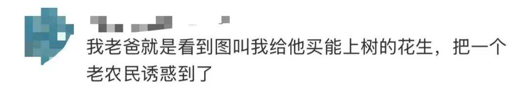 “花生上树”闹剧：AI翻车背后<strong></p>
<p>币圈历史</strong>，我们都在弄丢常识？