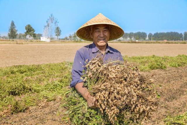 “花生上树”闹剧：AI翻车背后<strong></p>
<p>币圈历史</strong>，我们都在弄丢常识？