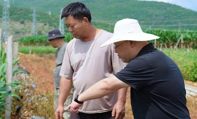 弥勒“新哨经验”<strong></p>
<p>ven币走势图</strong>，全州推广！