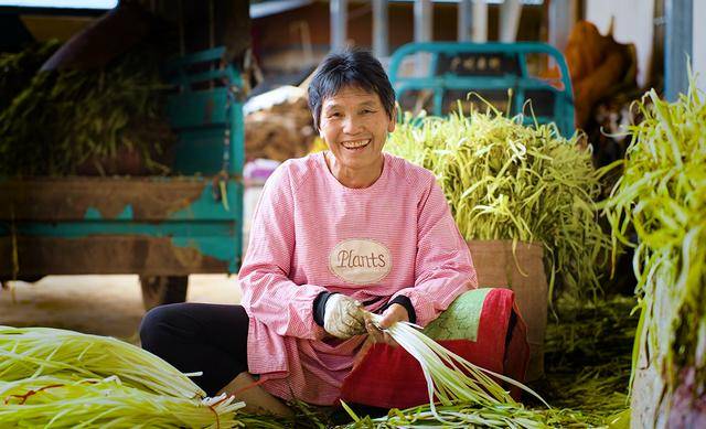 弥勒“新哨经验”<strong></p>
<p>ven币走势图</strong>，全州推广！