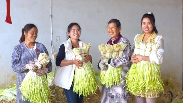 弥勒“新哨经验”<strong></p>
<p>ven币走势图</strong>，全州推广！