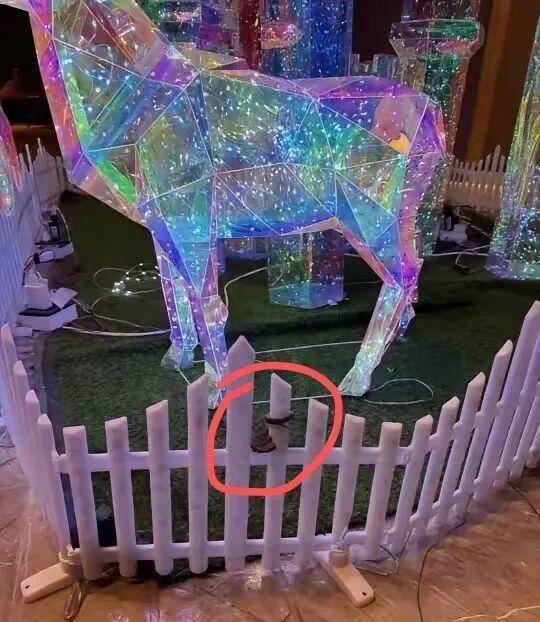 九寨沟一酒店大堂出现蝮蛇，小孩还摸了蛇头！当地通报：孩子没被咬伤，已全面排查