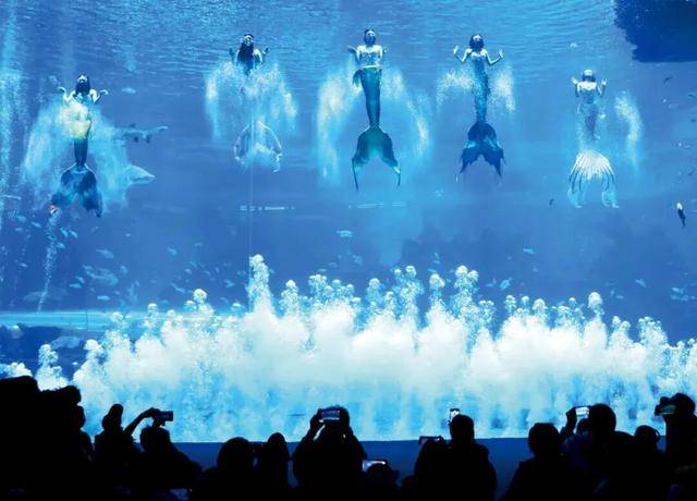 海洋公园<strong></p>
<p>炒币圈</strong>，养不起虎鲸了