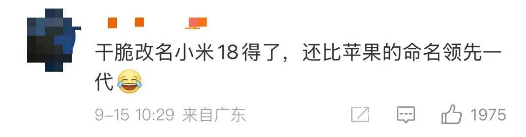 雷军：全面对标iPhone<strong></p>
<p>炒币圈</strong>，正面迎战！小米宣布跳过16系列，直接发布17