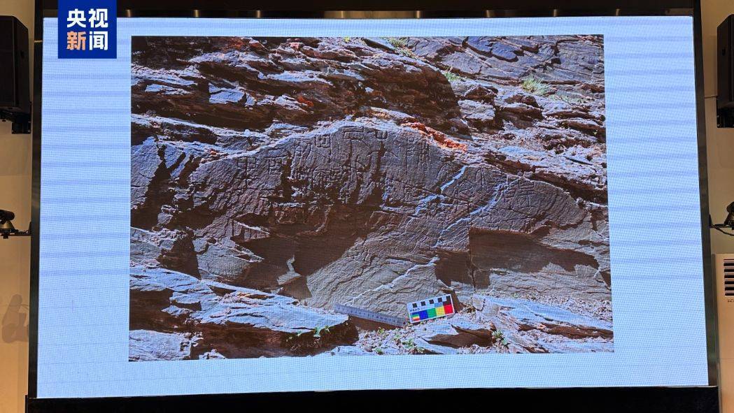 重要发现！扎陵湖秦代刻石得到认定！每经独家采访当地牧民：40年前就曾看见<strong></p>
<p>炒币圈</strong>，在他家牧场内