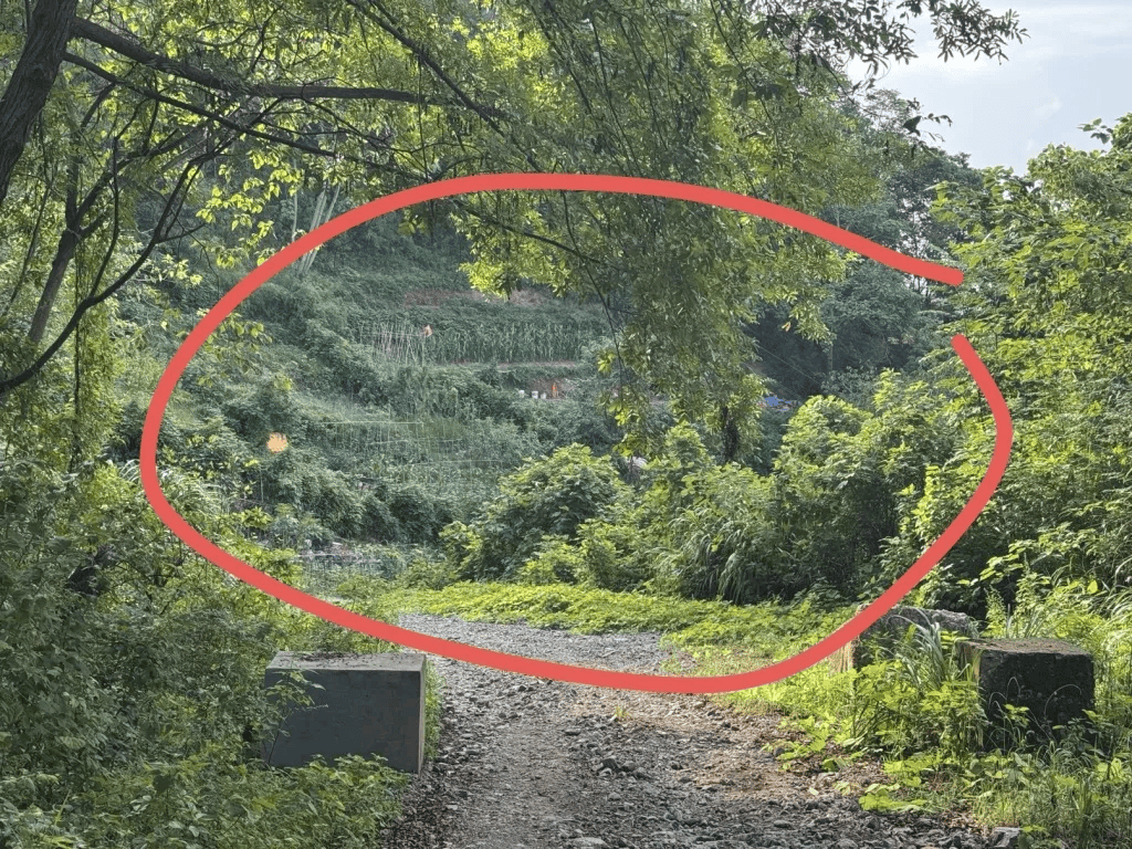 杭州女子误踩“化骨水”身亡<strong></p>
<p>炒币大神</strong>，当地：已锁定化学品所有者，发现三桶，一桶完整，两桶残余