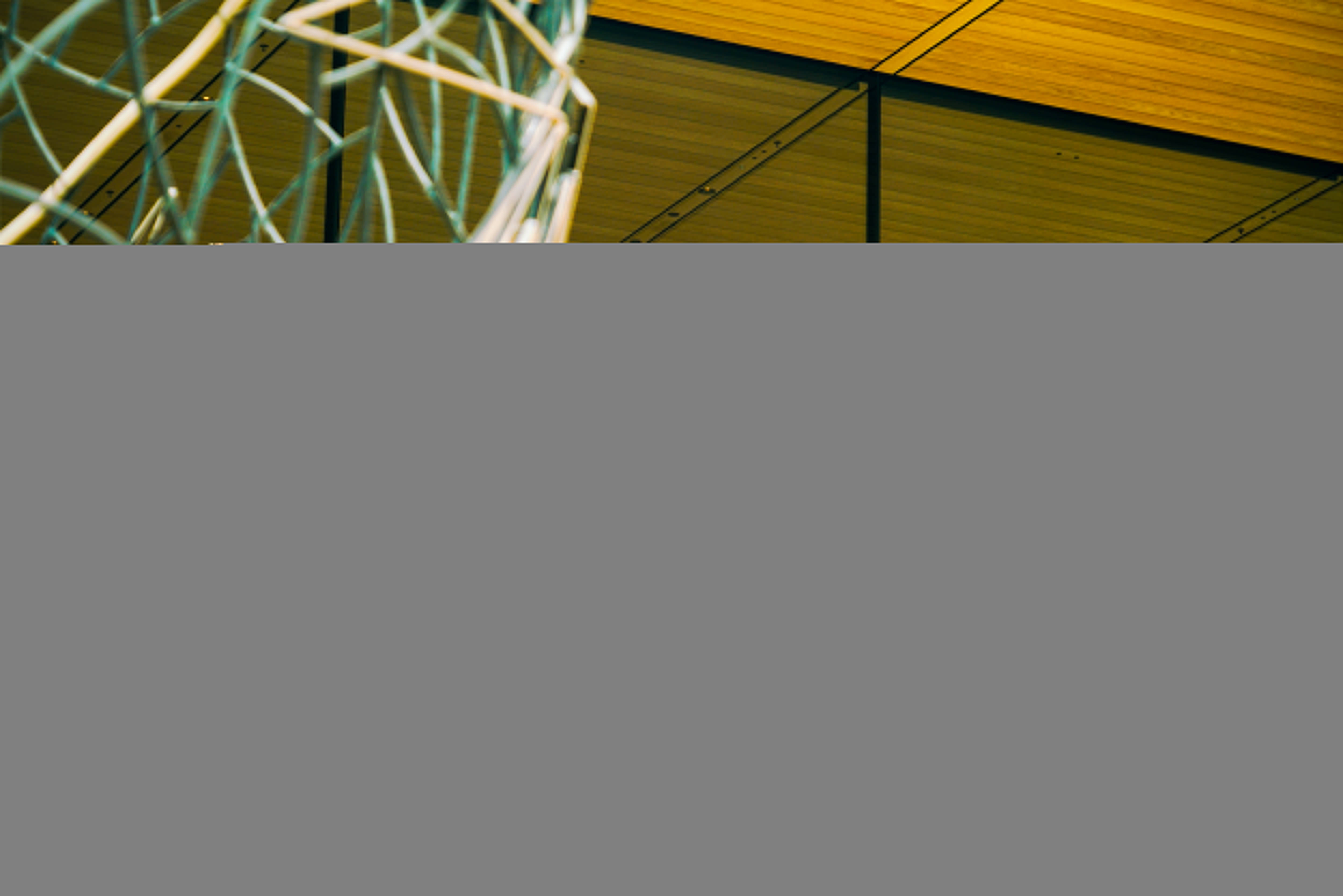 iPhone 17正式开售<strong></p>
<p>炒币大神</strong>，橙色Pro Max黄牛最高加价1500元