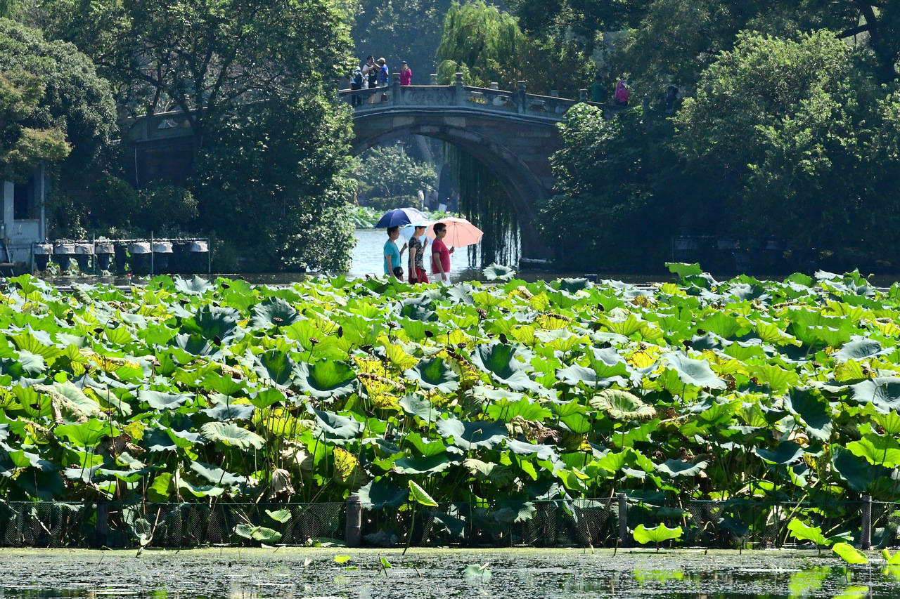 “三台共舞”对浙江有何影响？周末又有冷空气<strong></p>
<p>炒币大神</strong>，气温舒适