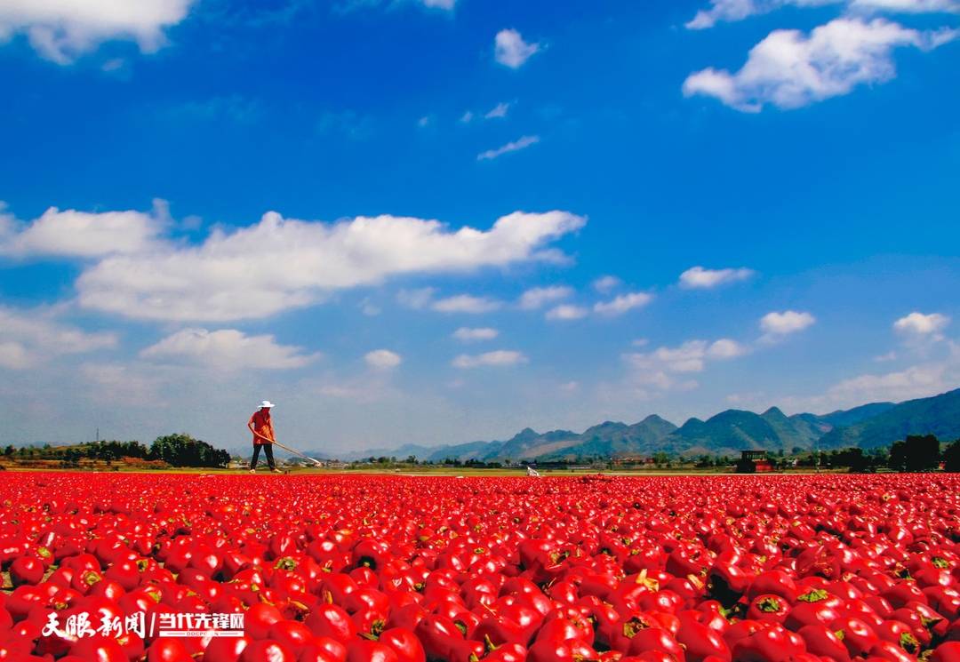 2025年“中国农民丰收节”特别报道｜山乡丰年之丰收账