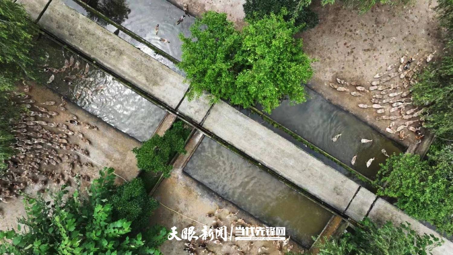 2025年“中国农民丰收节”特别报道｜山乡丰年之丰收账