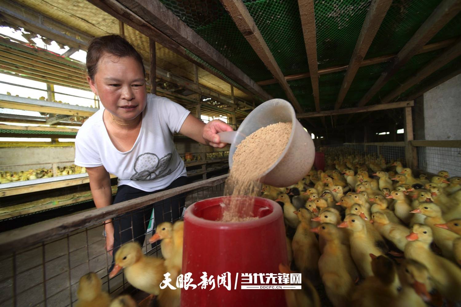 2025年“中国农民丰收节”特别报道｜山乡丰年之丰收账