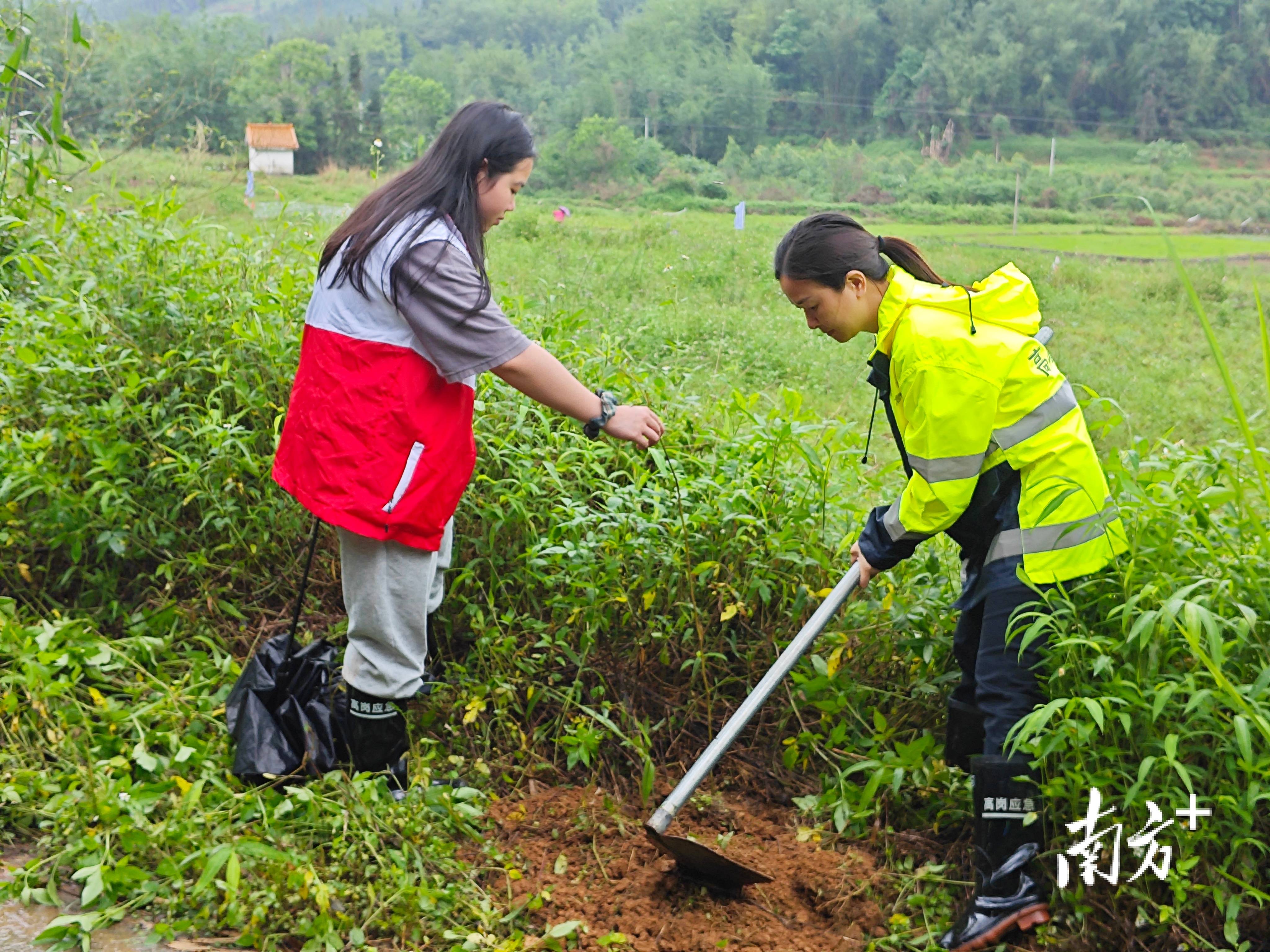 “外来媳妇”谭焕贞五年深耕<strong></p>
<p>币圈eth</strong>，佛冈高岗宝山村换新貌
