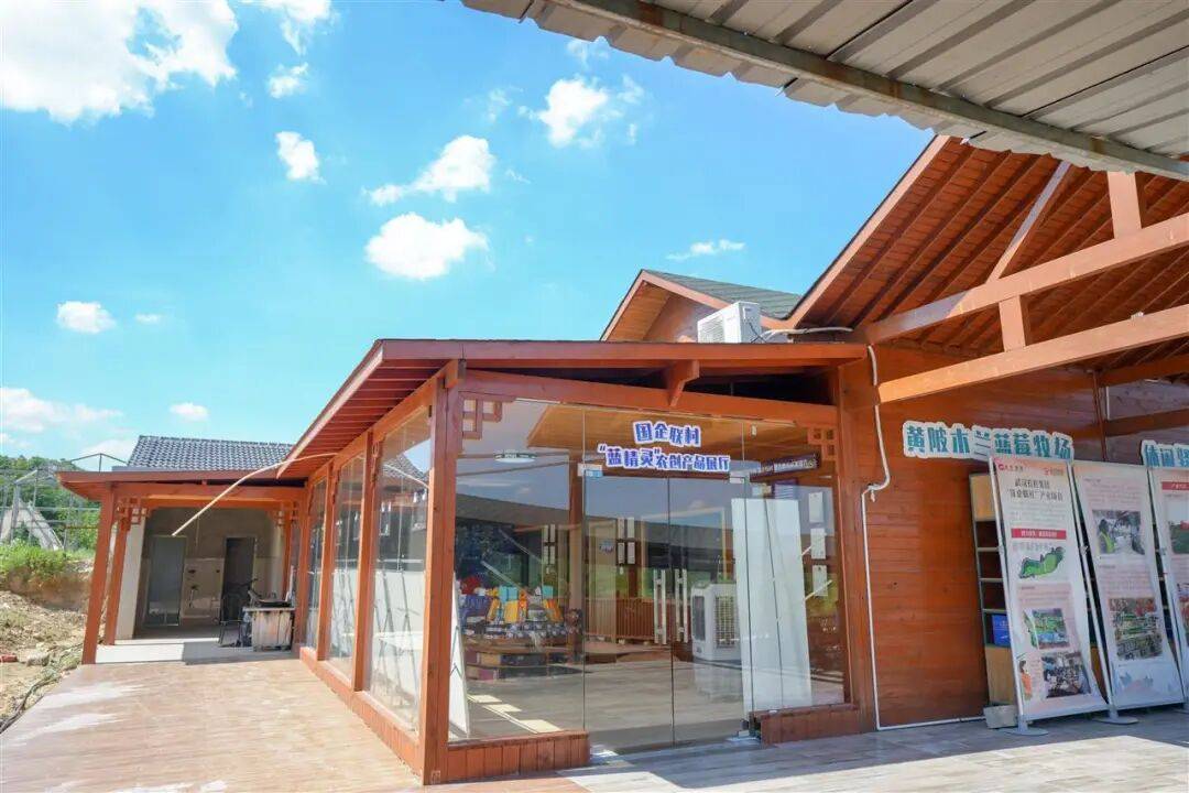 国企联村·强村富民｜一颗蓝莓激活乡村振兴<strong></p>
<p>币圈eth</strong>，书写荒坡变宝地新篇