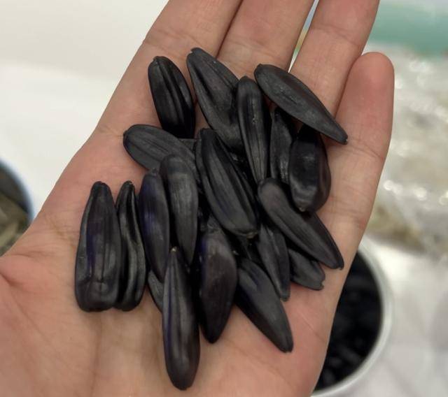 紫色向日葵、多彩胡萝卜、双色火龙果亮相青岛<strong></p>
<p>币圈eth</strong>，种子盛会变身“未来食物实验室”