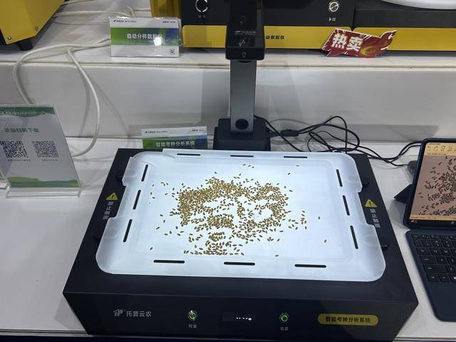 紫色向日葵、多彩胡萝卜、双色火龙果亮相青岛<strong></p>
<p>币圈eth</strong>，种子盛会变身“未来食物实验室”