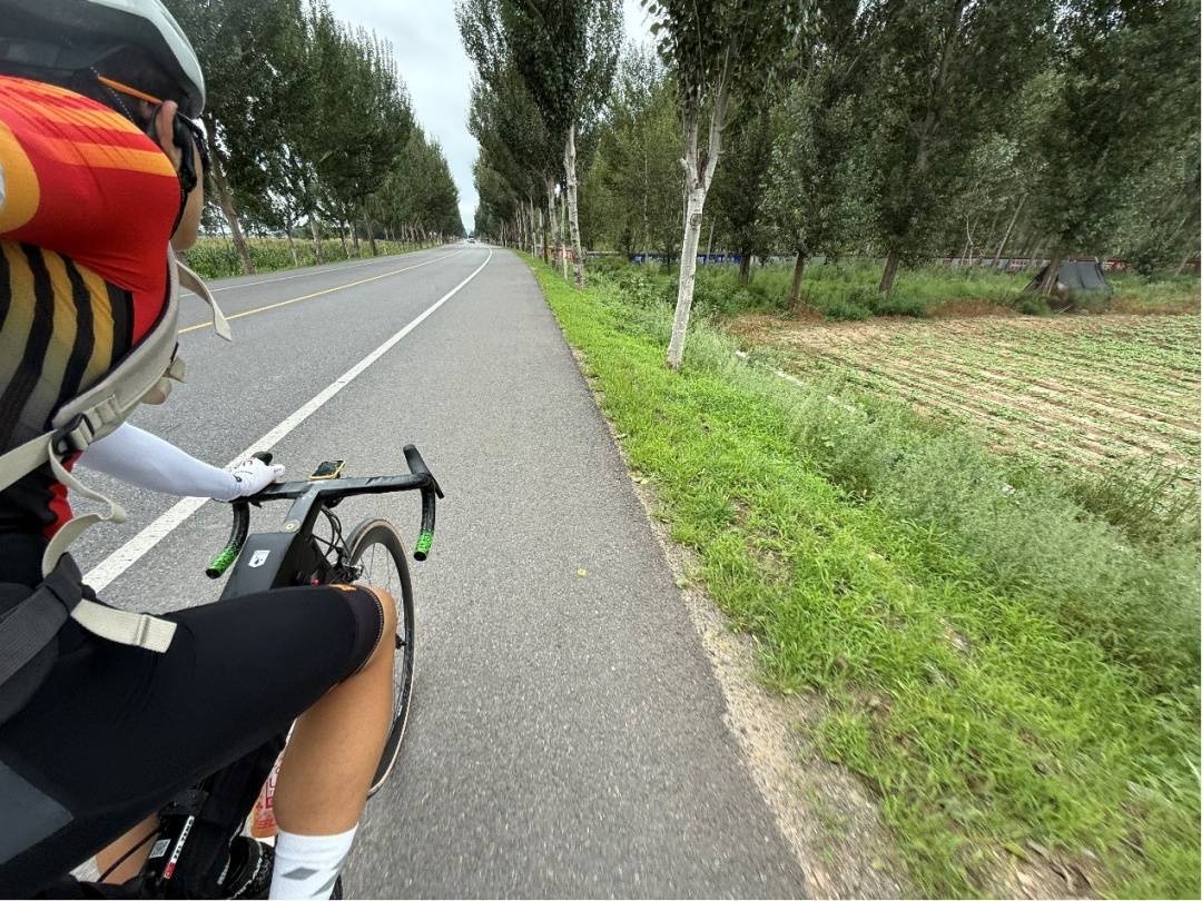 厉害了<strong></p>
<p>寻街币</strong>！沈阳少年独自骑行1850公里去武汉上大学