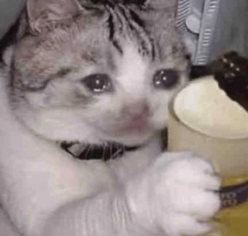 “不亚于春节回家”！凌晨5点<strong></p>
<p>v币</strong>，深圳有人已经堵在路上……