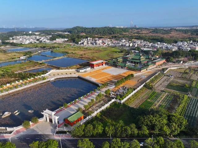 这个经济大省<strong></p>
<p>v币</strong>，为何多地镇街撤并？