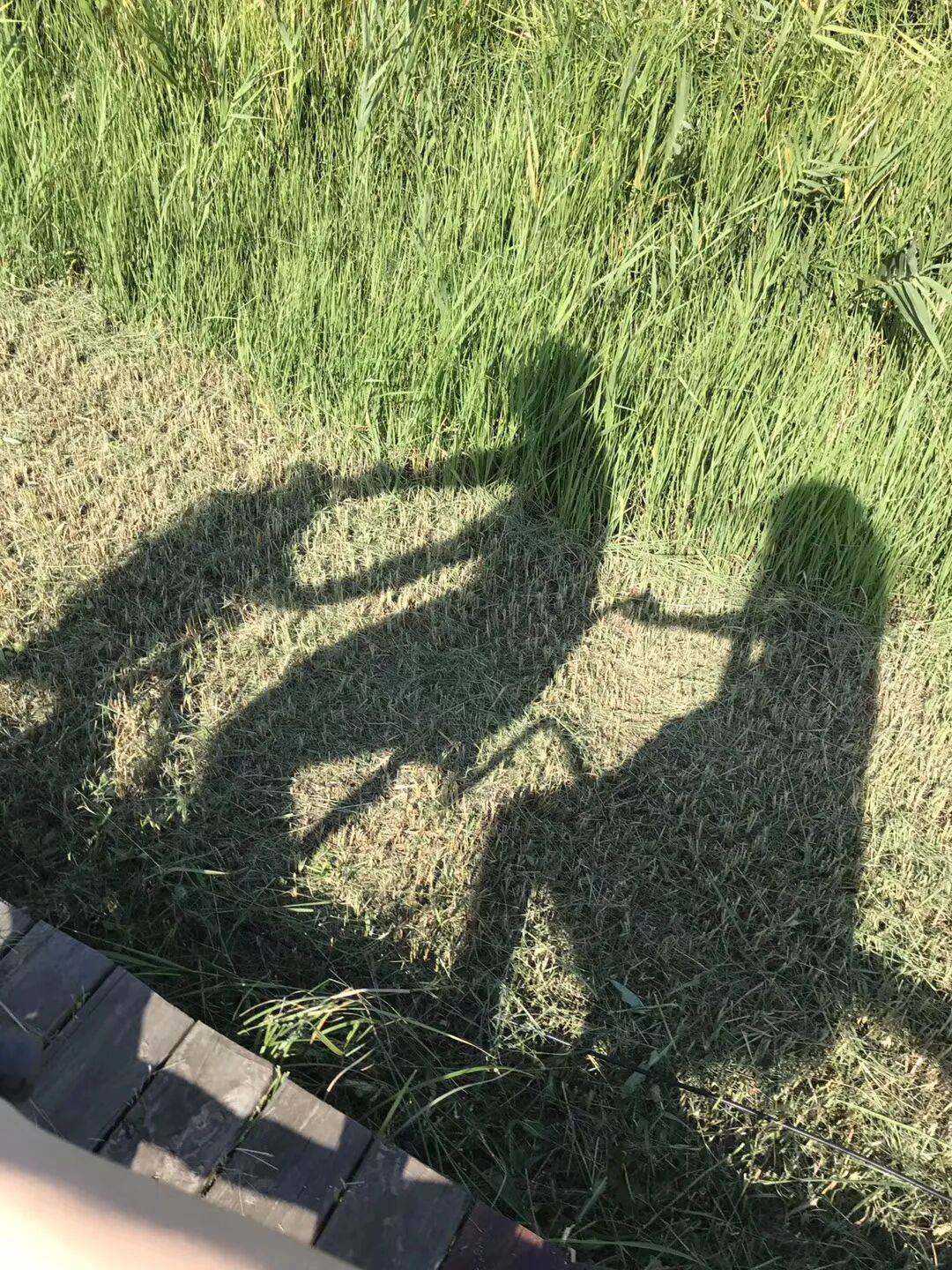 纸质火车票退场<strong></p>
<p>v币</strong>，每道折痕里都藏着远方、爱情与山河记忆