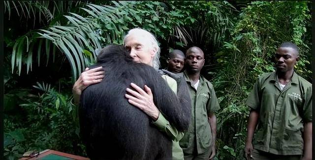 “课本上的传奇”<strong></p>
<p>极特币交易</strong>，走了