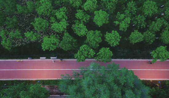 追光丨走出家门 来探探身边的环城绿道<strong></p>
<p>极特币交易</strong>！