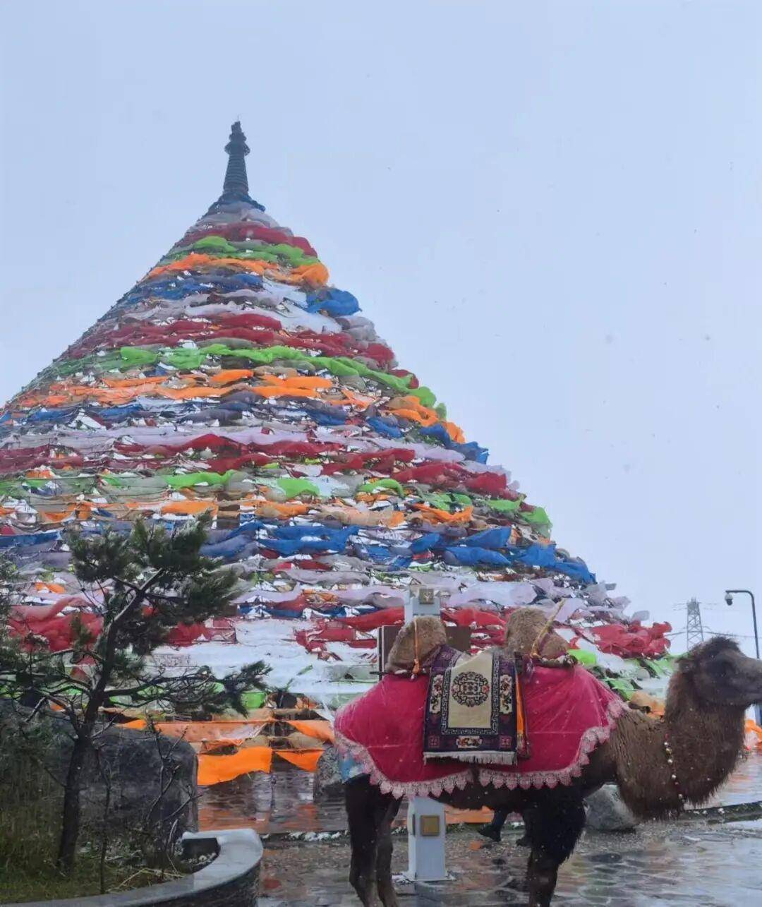 多地突降大雪<strong></p>
<p>极特币交易</strong>！