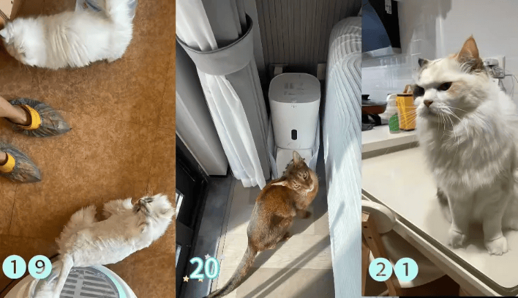 这个需求激增！一男子连接270单<strong></p>
<p>夜币</strong>，其中一笔收费8100元