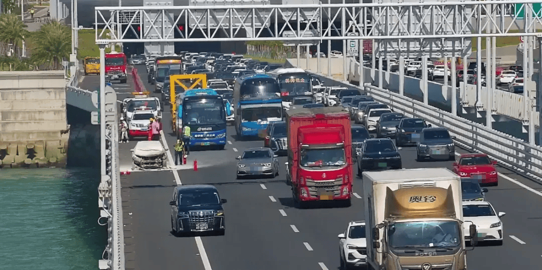 粤B·97821D、粤Z·AG85澳、粤T·91736<strong></p>
<p>夜币</strong>，你们被拍下来了！