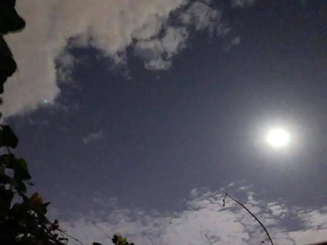 没有什么能阻挡！今天<strong></p>
<p>夜币</strong>，广西人就是要回家！