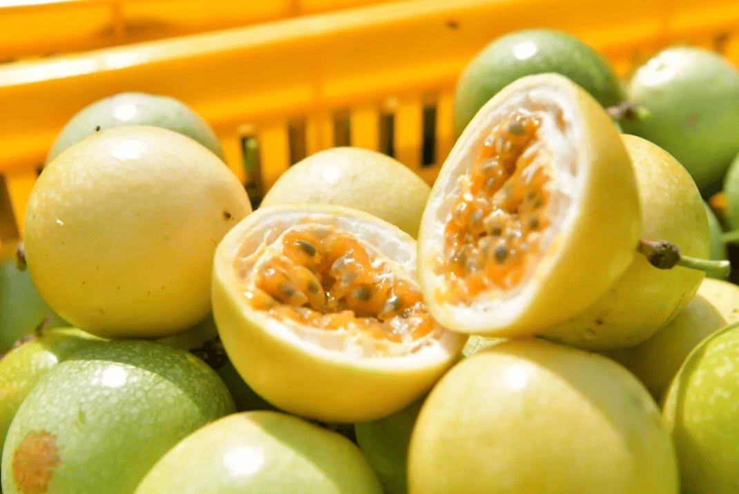 没有什么能阻挡！今天<strong></p>
<p>夜币</strong>，广西人就是要回家！