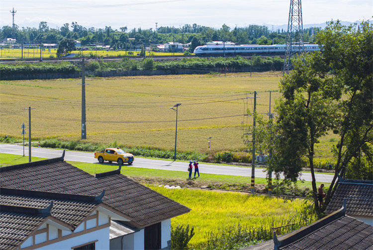 阖家团圆时<strong></p>
<p>打币子</strong>，他们守护蓉城灯火