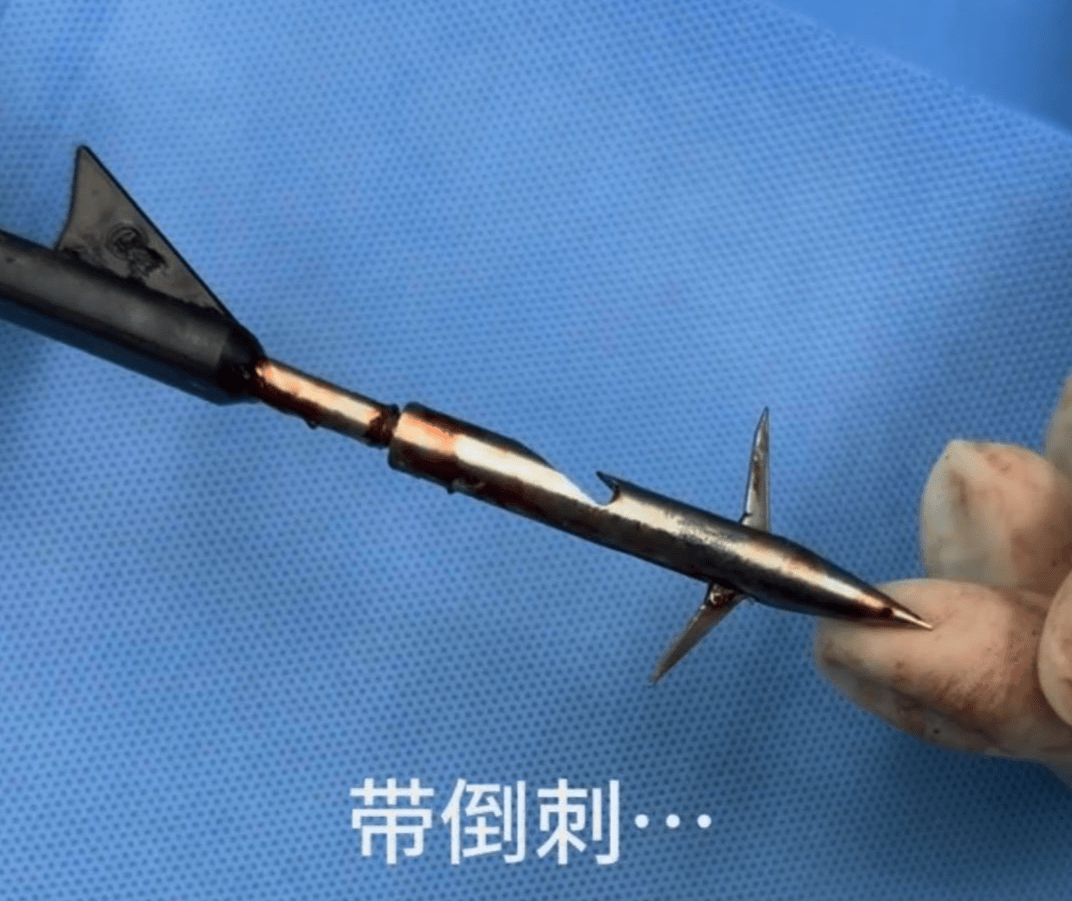 教育局回应“一教师用弓箭射杀小狗”：不实<strong></p>
<p>币资讯</strong>，小狗进学校前就被射伤