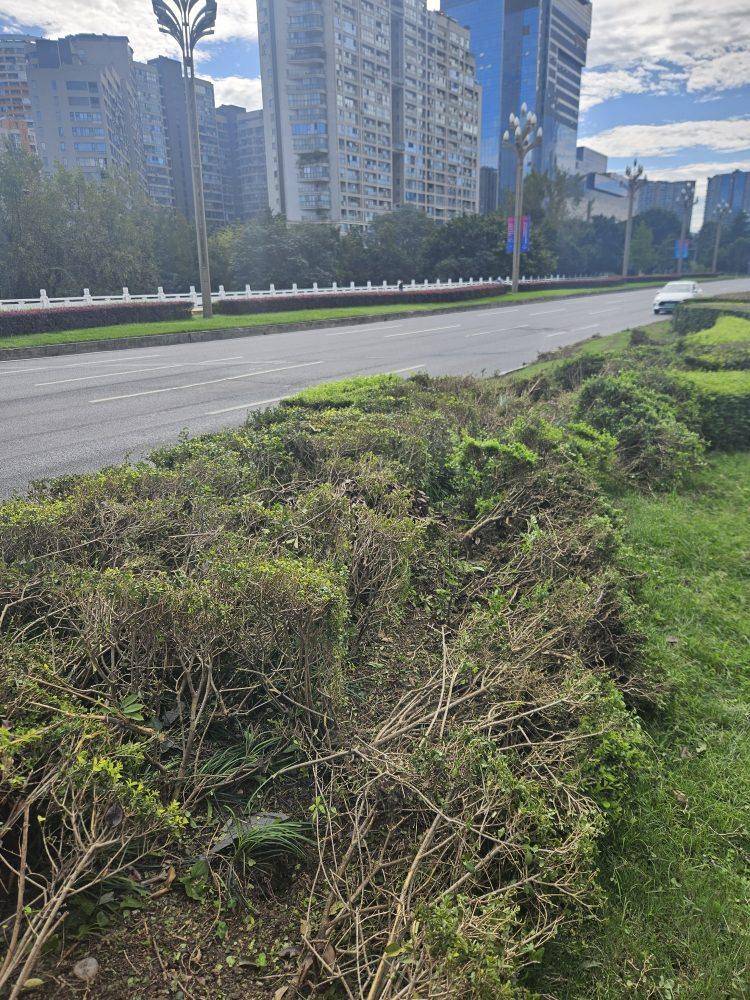 成都发生一起严重交通事故<strong></p>
<p>币圈信息</strong>，上游新闻实地探访：燃烧留下的印记仍在