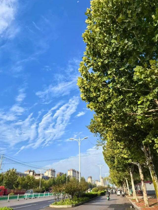 济南<strong></p>
<p>币圈信息</strong>，转晴！山东，转晴！好久不见的太阳，来了！