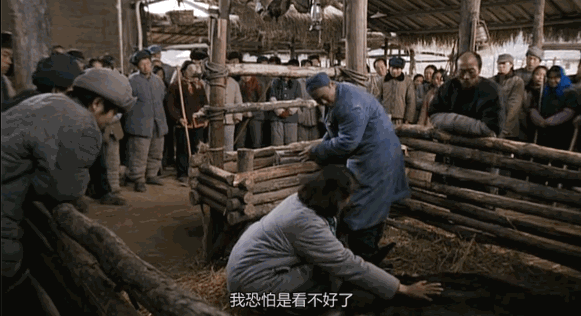 为什么说现在不缺牛马<strong></p>
<p>币圈信息</strong>，就缺驴？