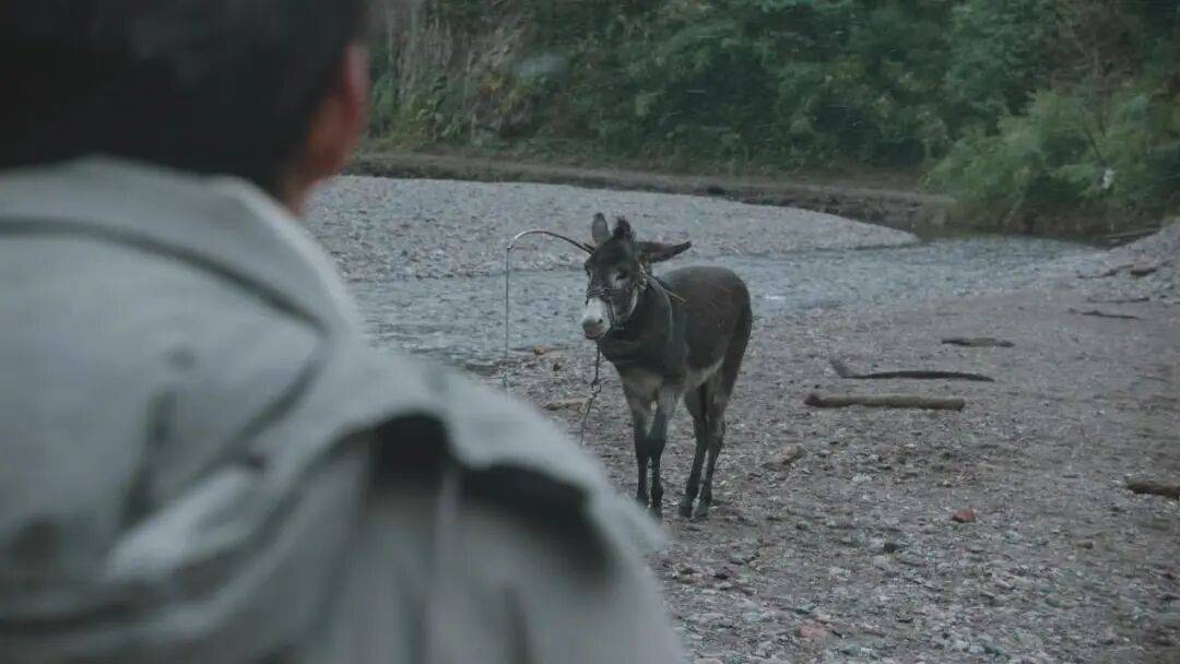 为什么说现在不缺牛马<strong></p>
<p>币圈信息</strong>，就缺驴？