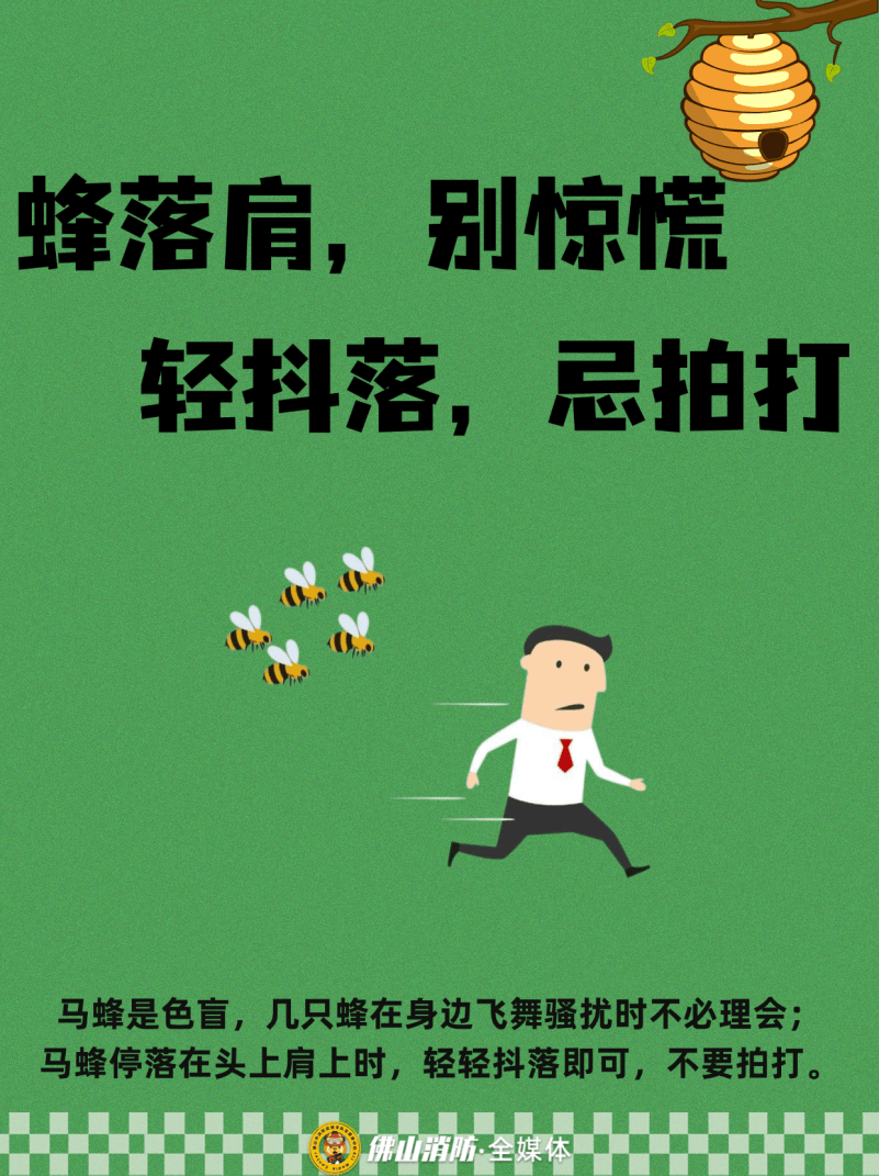 深圳一市民突遭马蜂围袭！已进入高发期<strong></p>
<p>币圈信息</strong>，千万别招惹！