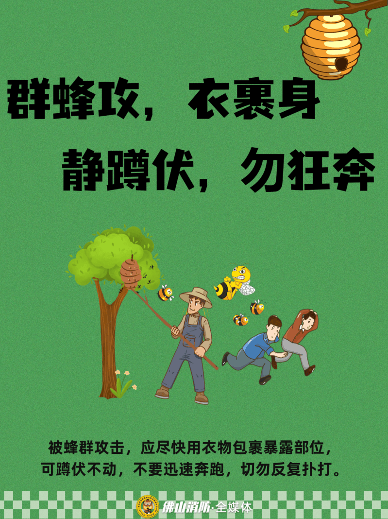 深圳一市民突遭马蜂围袭！已进入高发期<strong></p>
<p>币圈信息</strong>，千万别招惹！