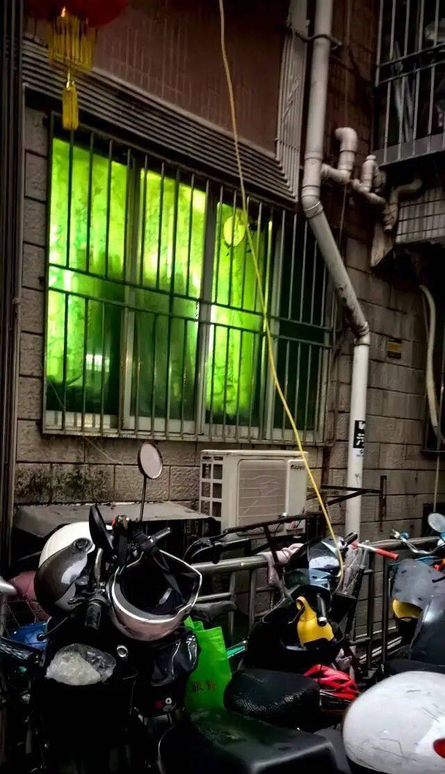 深圳一小区电动车管理引担忧<strong></p>
<p>有币下载</strong>，部门责令整改后，记者实探