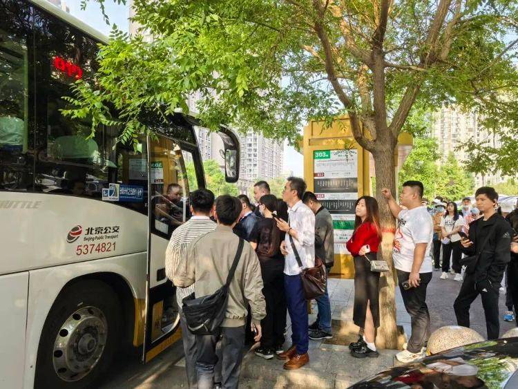 建议“公交老年卡高峰期禁用”<strong></p>
<p>币圈名词</strong>，能解决问题吗？