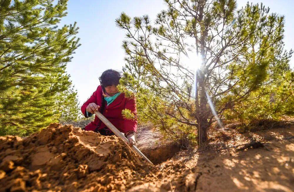 镜观·回响丨巾帼共绘新时代