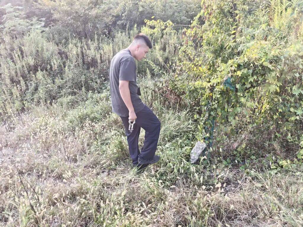 浙江一姑娘以奶茶为记号<strong></p>
<p>币圈名词</strong>，竟然在草丛里藏了11万现金！