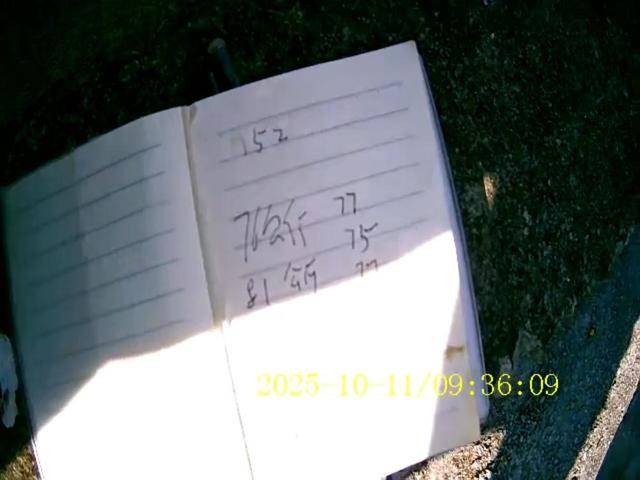 100斤玉米上秤秒变60斤？贵州一村民遭“鬼秤”骗粮！民警出手<strong></p>
<p>王莽币</strong>，5人被拘