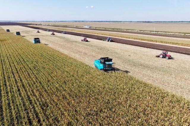 深刻揭示新时代发展规律——习近平经济思想引领新时代经济工作述评之二